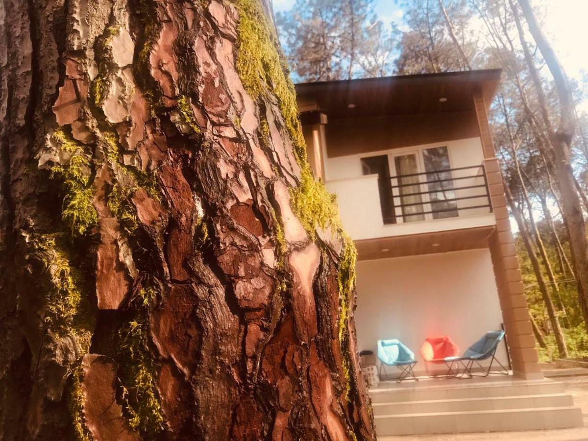 Vip Sweet Home In Shekvetili Esterno foto