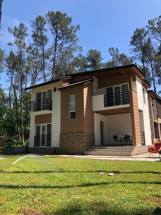 Vip Sweet Home In Shekvetili Esterno foto
